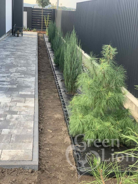  GREEN LION,  Ландшафтний дизайн. Рулонний газон, Ландшафтний дизайн. Рулонний газон у Львові