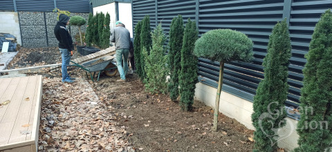  GREEN LION,  Ландшафтний дизайн. Рулонний газон, Ландшафтний дизайн. Рулонний газон у Львові