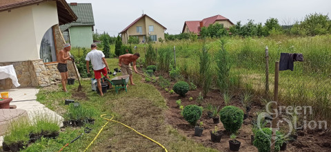  GREEN LION,  Ландшафтний дизайн. Рулонний газон, Ландшафтний дизайн. Рулонний газон у Львові