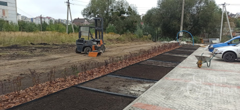  GREEN LION,  Ландшафтний дизайн. Рулонний газон, Ландшафтний дизайн. Рулонний газон у Львові