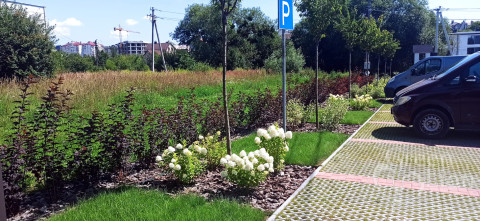  GREEN LION,  Ландшафтний дизайн. Рулонний газон, Ландшафтний дизайн. Рулонний газон у Львові